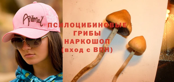 прущая мука Нефтегорск