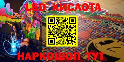 PSILOCYBIN Гатчина