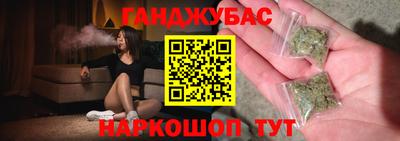 PSILOCYBIN Гатчина