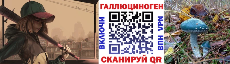 Галлюциногенные грибы Psilocybine cubensis  Ейск 