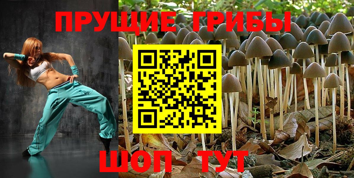Псилоцибиновые грибы прущие грибы Ейск