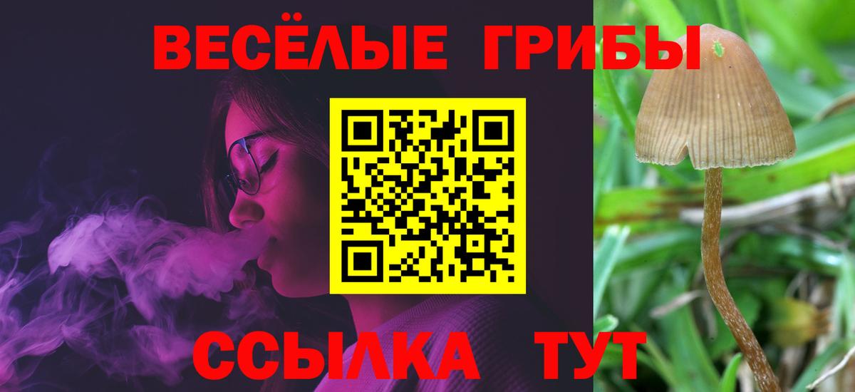 Галлюциногенные грибы MAGIC MUSHROOMS  Ейск 